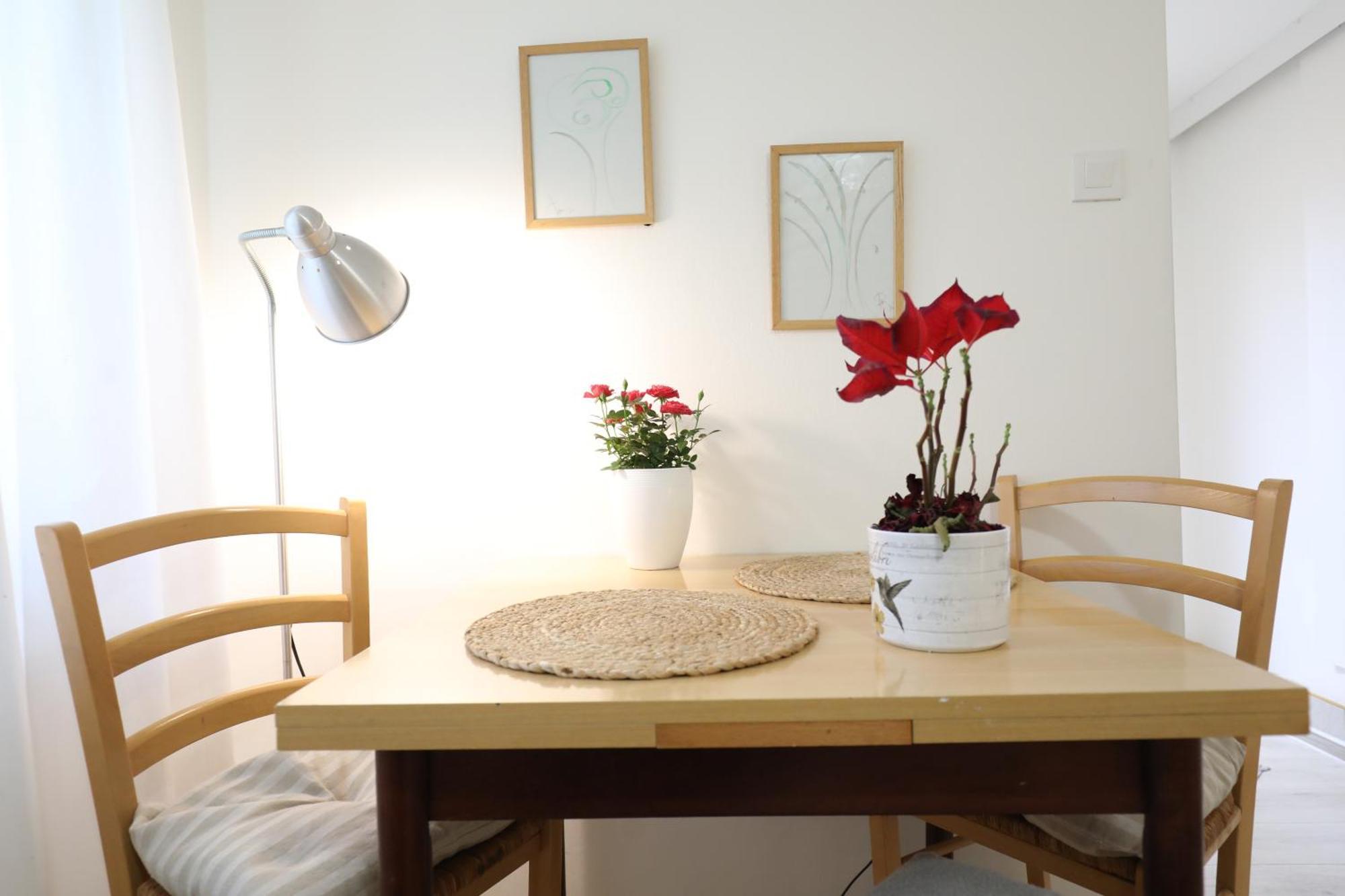 Apartment Mir Pula Exteriér fotografie